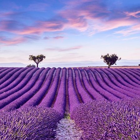La Maison Des Collines อัลเลอมาญ-ออง-โพรวองซ์ ภายนอก รูปภาพ