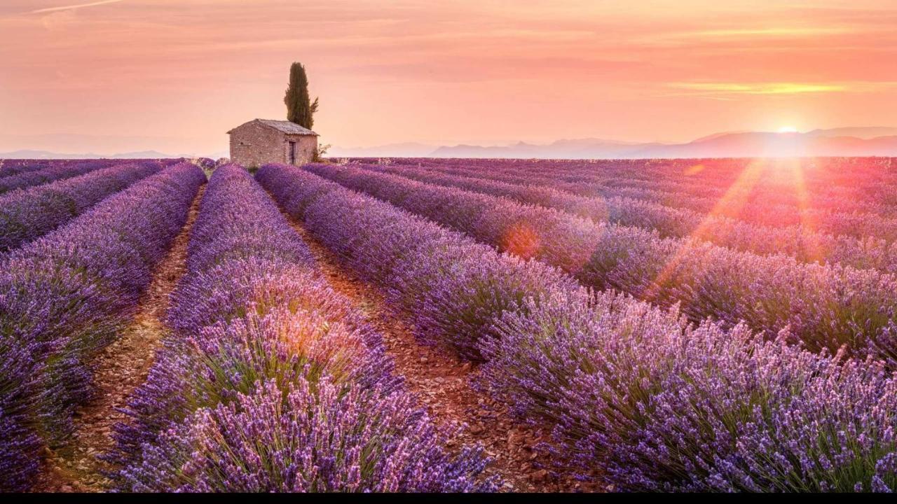 La Maison Des Collines อัลเลอมาญ-ออง-โพรวองซ์ ภายนอก รูปภาพ